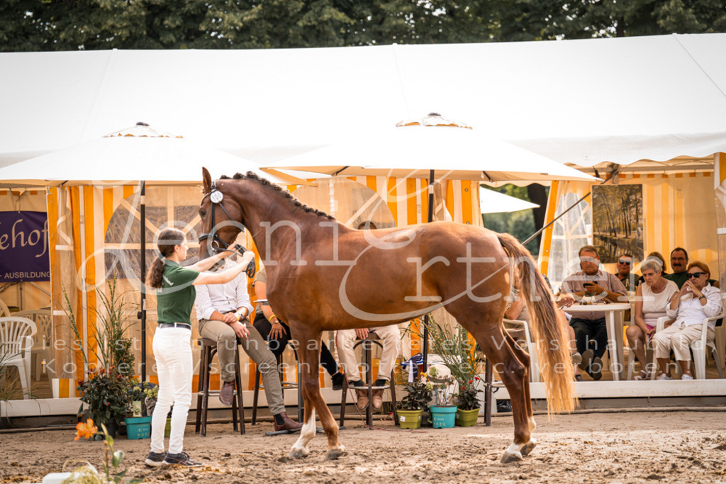 7.Fr00069 | Leoni Ertmer Photography - Realisiert mit Pictrs.com