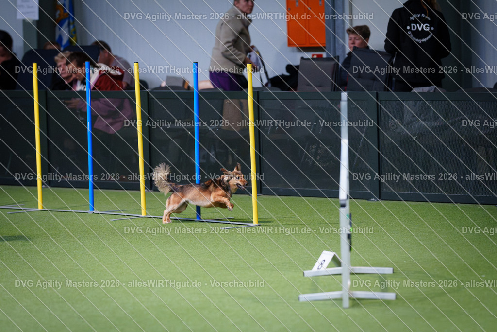 allesWIRTHgut_Tierfotografie-DVG_Agility_Masters_2026-12_23-7R508154 | Professionelle Tierfotografie in Mönchengladbach von Daniel Wirth (allesWIRTHgut). Liebevolle & natürliche Bilder von Hunden & Katzen für unvergessliche Erinnerungen.