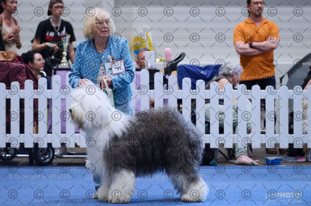 202406_ÖKV-IHA-Tulln24_DSC_3791 | proPHOTO - Realisiert mit Pictrs.com
