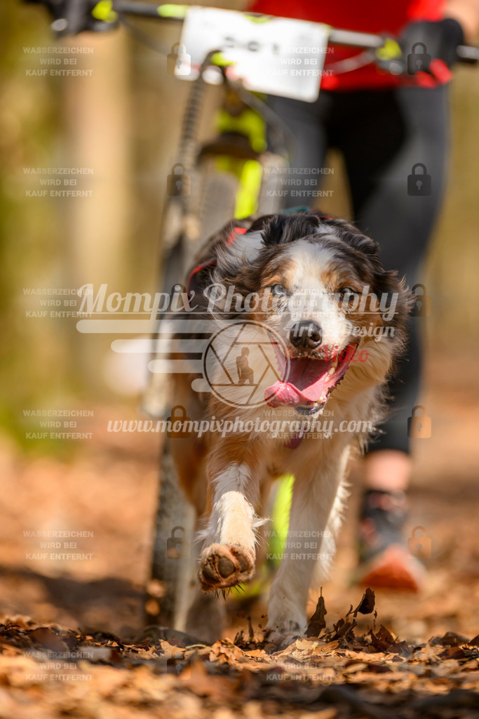 MompixPhotography_Habay2025_SA_SCO-61 | PayLife
