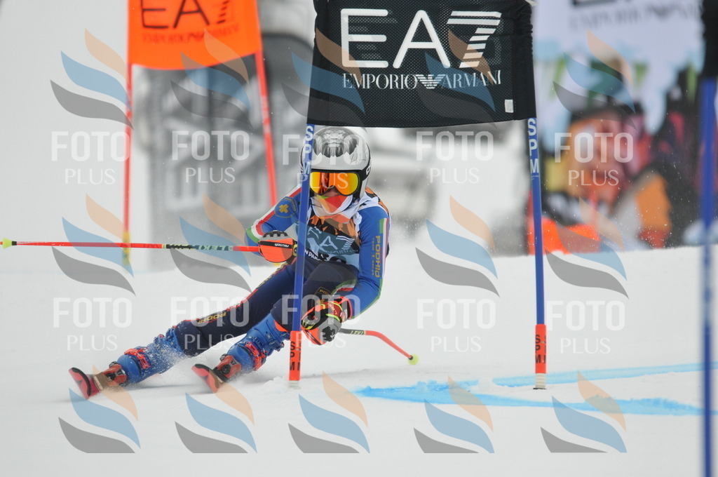 DSC_7786 | holidayphoto