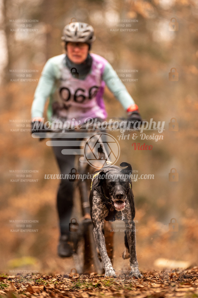 AKM_ST_2023_SAM_Bike-34 | PayLife