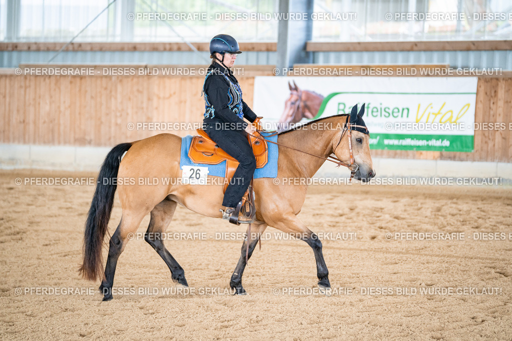 DSC02320 | Pferdegrafie