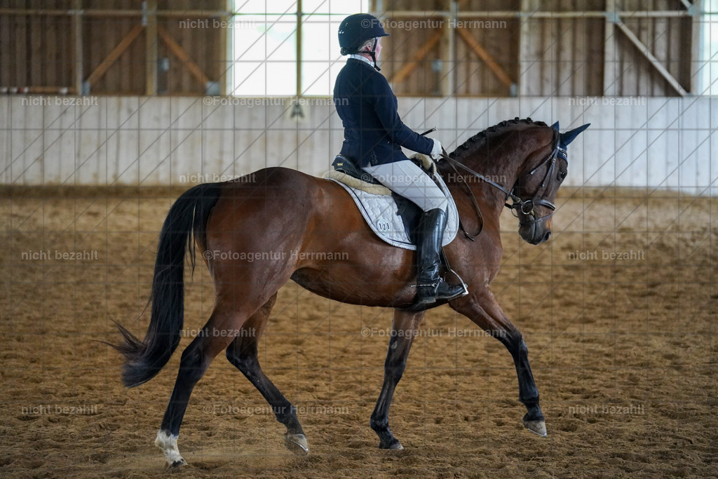 20230518-FAH04826 | Frühjahrsturnier, Landsberg am Lech, 2023, Reitclub Landsberg, Turnierbilder, Fotos Turnier Landsberg, Fotoagentur Herrmann, Turnierfotografen Bayern, Reitsport Fotograf, Pferde Fotograf