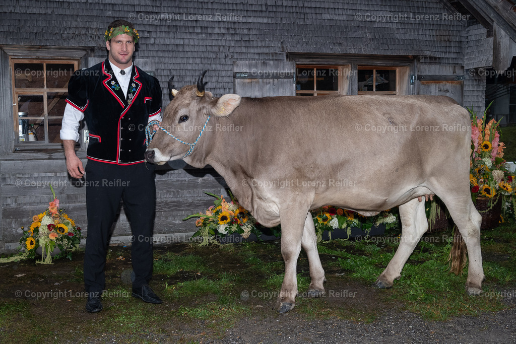 Schwingen -  Schwägalp-Schwinget 2024 2024 | Schwägalp, 18.8.24, Schwingen - Schwägalp-Schwinget 2024.