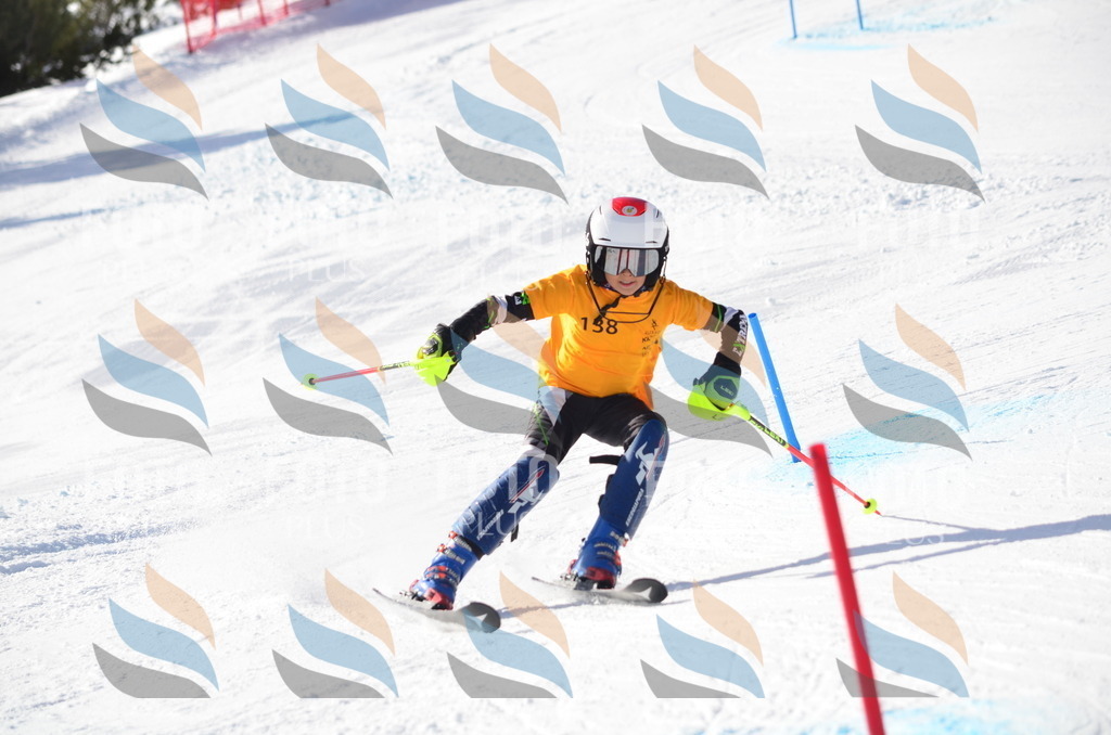 C6511 | holidayphoto