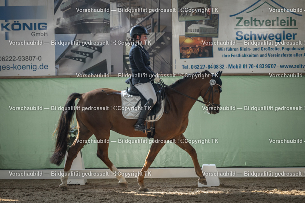 _D5A8453 | Emotionale Pferde- & People-Fotografie rund um Heidelberg, Leimen & Umgebung. Natürliche Fotos von Pferd, Mensch & Familie. Jetzt Termin sichern!