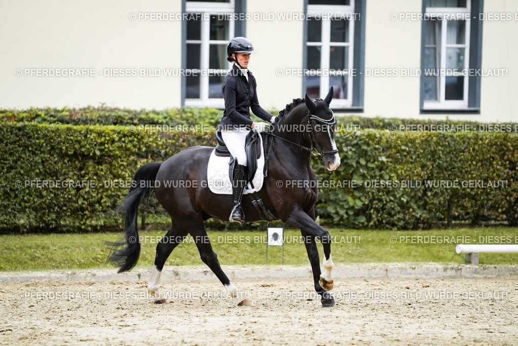 DSC09714 | Pferdegrafie