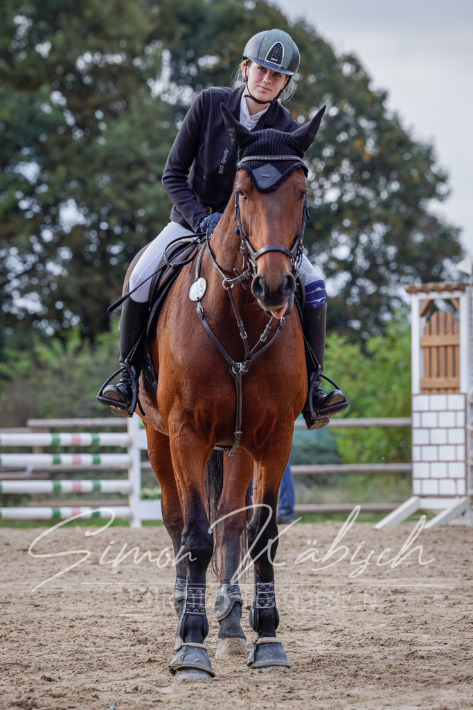 20251012-_3LI5382 | Tierfotografie Pferde, Hunde, Katzen, Haustiere.
Turnierfotografie Reitturniere, Reiten, Springreiten, Dressur in Hanau, dem Main-Kinzig-Kreis und dem Rhein-Main- Gebiet um Frankfurt