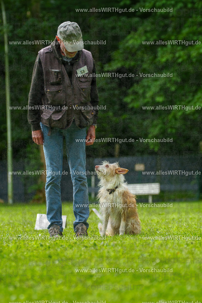 @allesWIRTHgut_Tierfotografie - www.allesWIRTHgut.de - 7R501342 | Professionelle Tierfotografie in Mönchengladbach von Daniel Wirth (allesWIRTHgut). Liebevolle & natürliche Bilder von Hunden & Katzen für unvergessliche Erinnerungen.