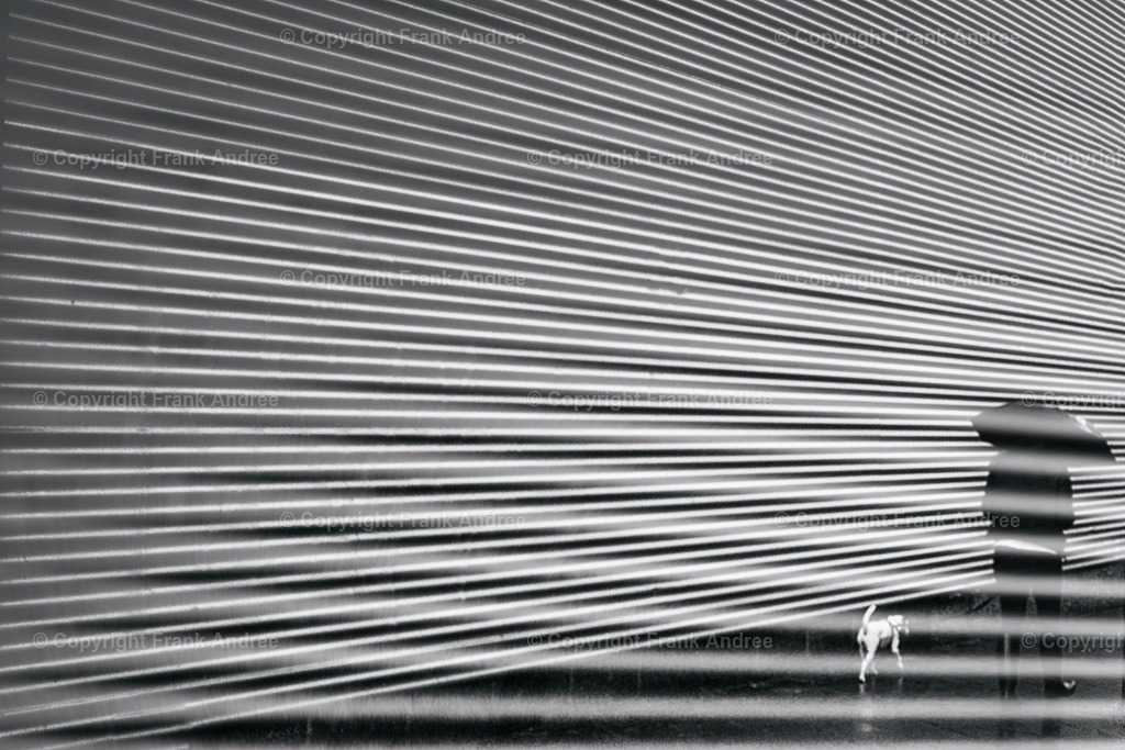 Spaziergang mit Hund | Ein regnerischer Tag in Berlin. Eine Frau mit Regenschirm geht mit ihrem Hund spazieren. Straßenfotografie aus Berlin in schwarz und weiß. - Realisiert mit Pictrs.com