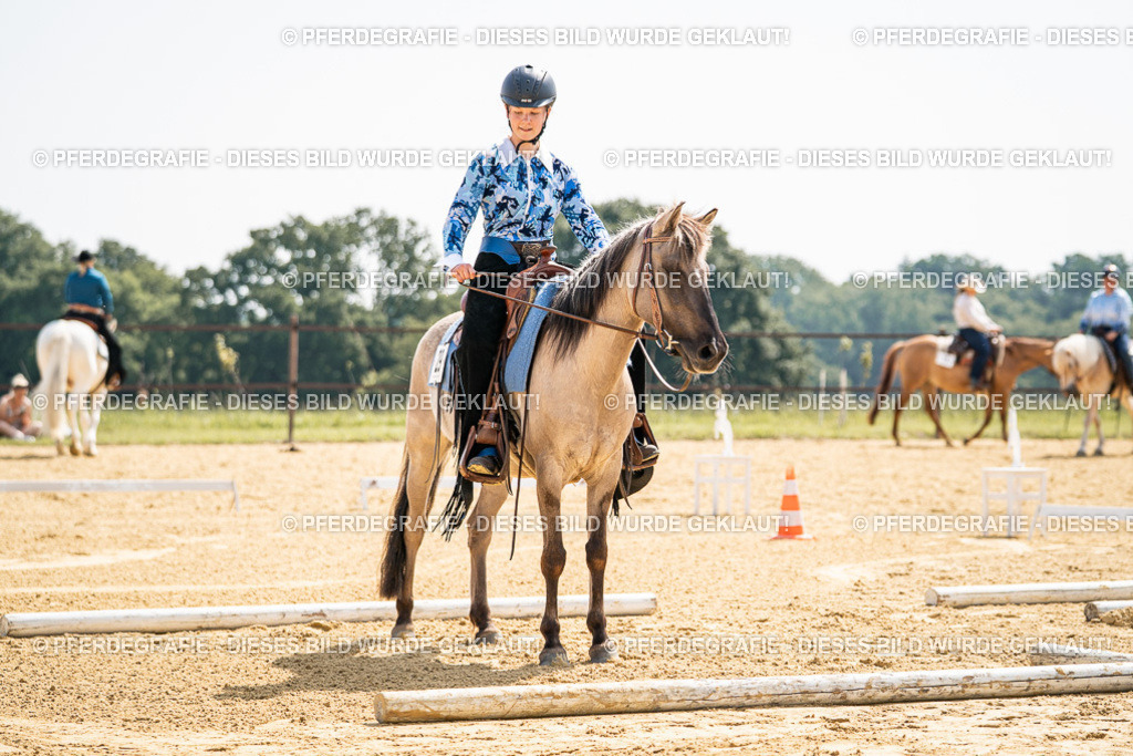 DSC09741 | Pferdegrafie