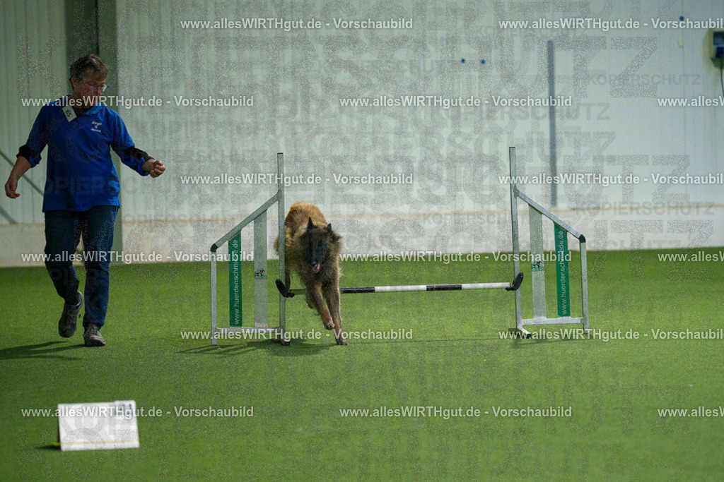 7R507893 | Professionelle Tierfotografie in Mönchengladbach von Daniel Wirth (allesWIRTHgut). Liebevolle & natürliche Bilder von Hunden & Katzen für unvergessliche Erinnerungen.