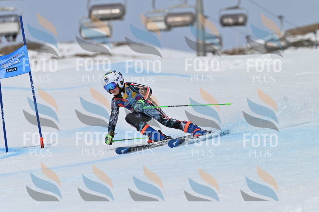 BGV_5078 | holidayphoto