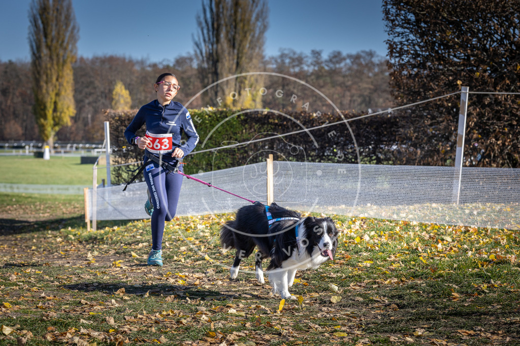 CaniXpix_DV3A8739 | Hundefotografie, Tierfotograf, Pfotenfotografie, Fotoshooting Hund, Hunde Portrait, Hundesport, Hundeportraits, Heideshooting, Hunde, Sportfotograf, Hundefotograf, Turnierhundsport, THS,  - Realisiert mit Pictrs.com