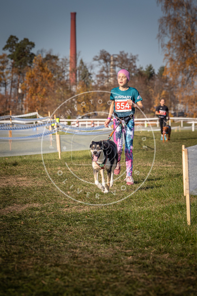 CaniXpix_0L8A7783 | Hundefotografie, Tierfotograf, Pfotenfotografie, Fotoshooting Hund, Hunde Portrait, Hundesport, Hundeportraits, Heideshooting, Hunde, Sportfotograf, Hundefotograf, Turnierhundsport, THS,  - Realisiert mit Pictrs.com