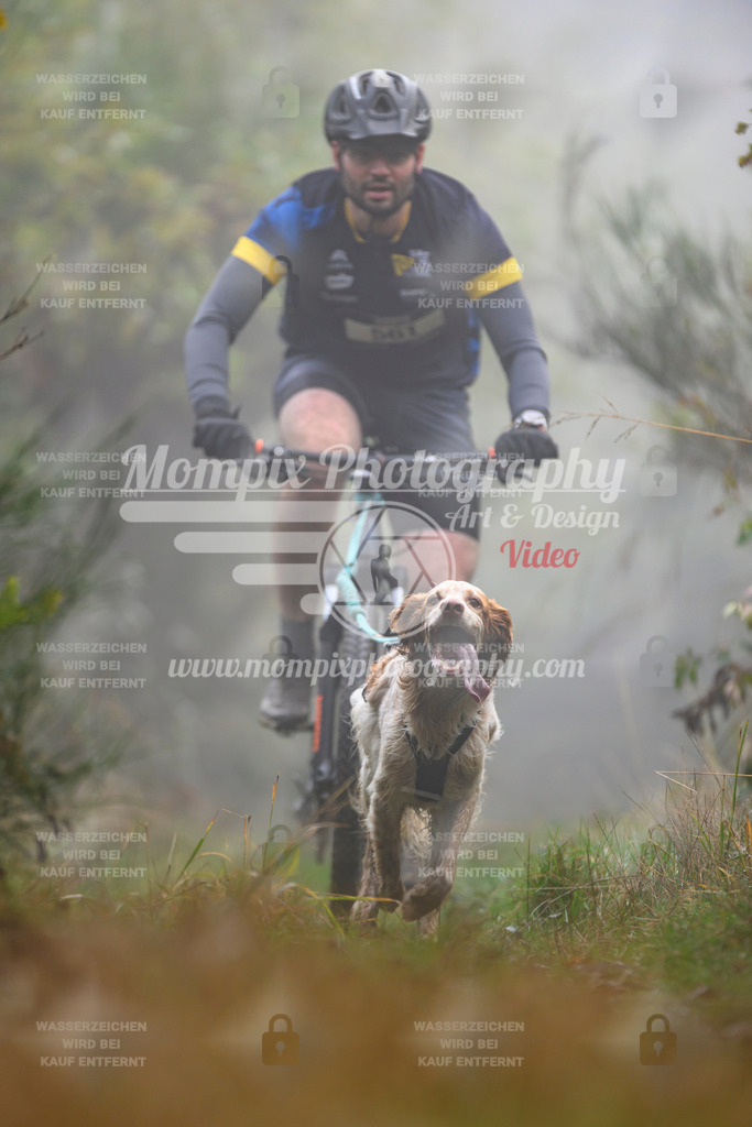 MompixPhotography_20TSB_E4_Bike-102 | PayLife