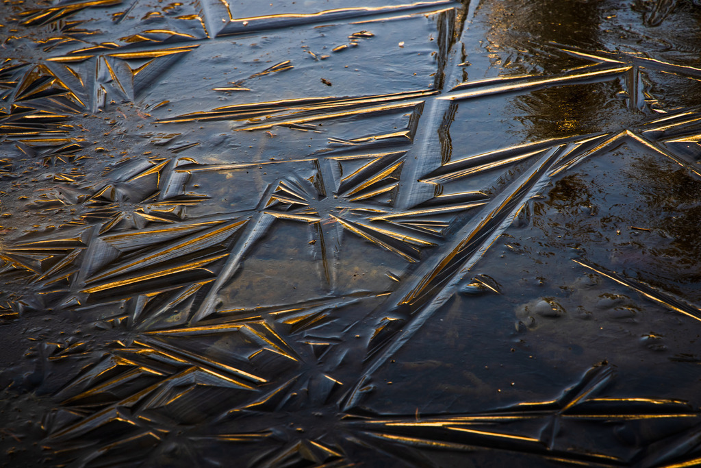 _T2A7554 | ap-design // andreas plenk - Realisiert mit Pictrs.com