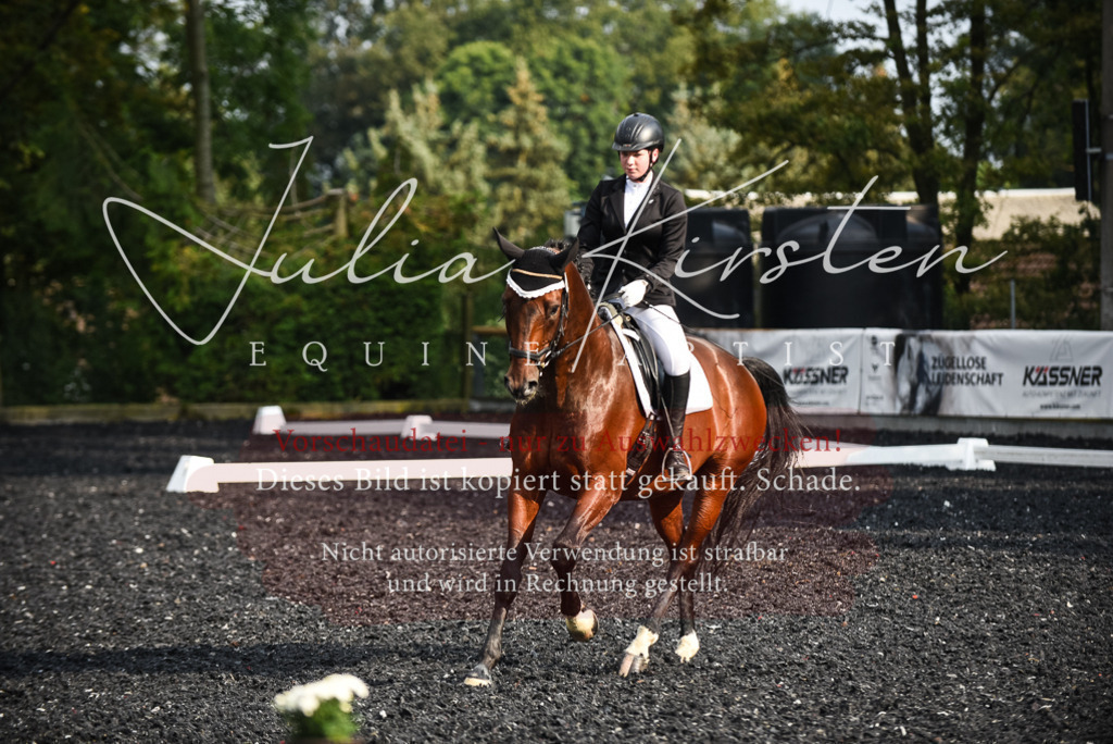 DSC_3343 | Pferde- und Turnierfotografie in Westsachsen. Pferdeportraits, Auftragszeichnungen und intuitive Kunst.