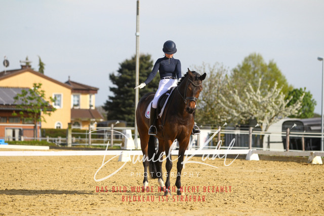 DKP43378 | Turniersportfotografie; Pferdefotografie; Dressurfotografie