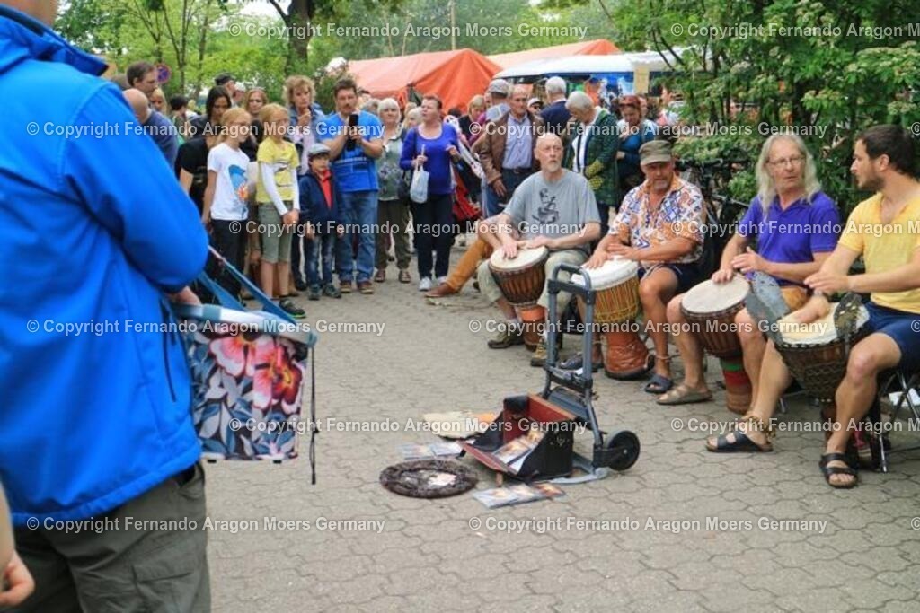 IMG_5047 | aragon-pics - Realisiert mit Pictrs.com