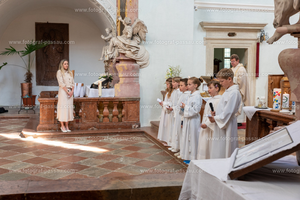 _DSC2699 | Hier finden Sie die Online Foto-Galerie von fotograf-passau.com und marius-handrugan.de. Suchen Sie sich direkt Ihre Lieblingsbilder aus, ob als Ausdruck oder Download. - Realisiert mit Pictrs.com
