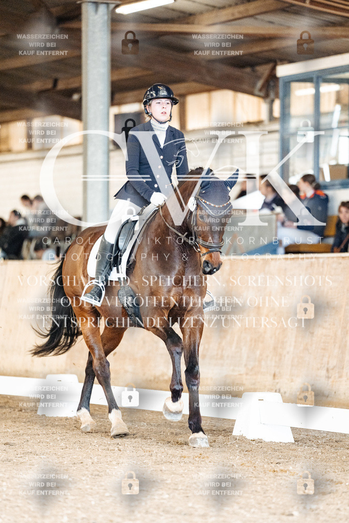 CK900888 | Turnierfotografie Pferdefotografie Trier Rheinland-Pfalz Pferdesport Reitsport Tierfotografie Sportfotografie Pferdevideo Pferdevideografie Equestrianvideography equestrianphotography  - Realized with Pictrs.com