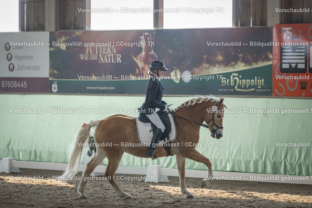 _D5A8305 | Emotionale Pferde- & People-Fotografie rund um Heidelberg, Leimen & Umgebung. Natürliche Fotos von Pferd, Mensch & Familie. Jetzt Termin sichern!