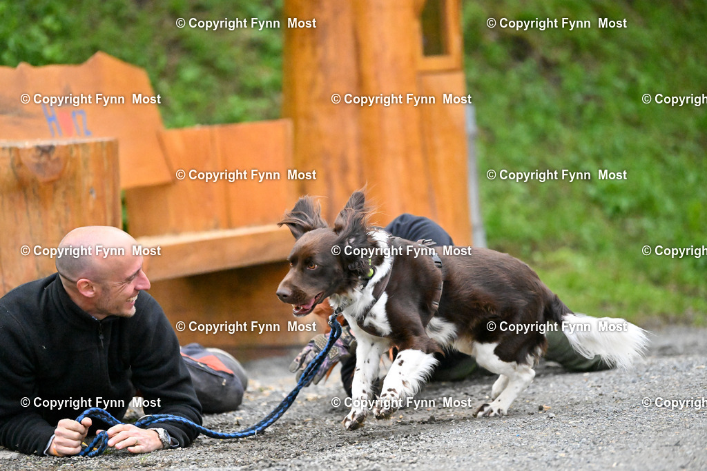 DSC_9590 | Hallo und herzlich Willkommen auf meiner Shop-Seite Fynn Most.

Ich wünsche Dir viel Spaß beim stöbern durch die Bilder, wenn Du Fragen hast oder Bilder vermisst, kannst du mir gerne eine Nachricht schreiben. - Realisiert mit Pictrs.com