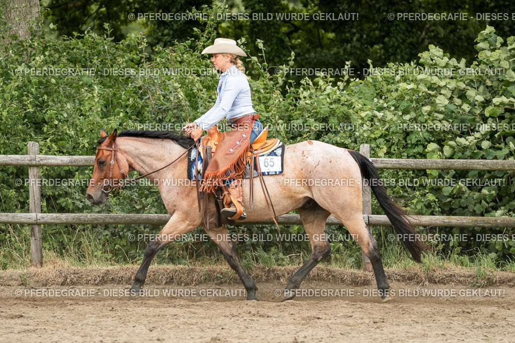 DSC04200 | Pferdegrafie