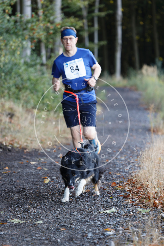 0L8A2113 | Hundefotografie, Tierfotograf, Pfotenfotografie, Fotoshooting Hund, Hunde Portrait, Hundesport, Hundeportraits, Heideshooting, Hunde, Sportfotograf, Hundefotograf, Turnierhundsport, THS,  - Realisiert mit Pictrs.com