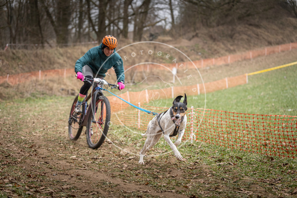 Pfotenfotografie_DV3A5090 | Hundefotografie, Tierfotograf, Pfotenfotografie, Fotoshooting Hund, Hunde Portrait, Hundesport, Hundeportraits, Heideshooting, Hunde, Sportfotograf, Hundefotograf, Turnierhundsport, THS,  - Realisiert mit Pictrs.com