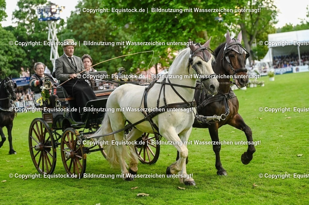 20250606_Lange-Pferdenacht_0131 | Foto: Thomas Hartig