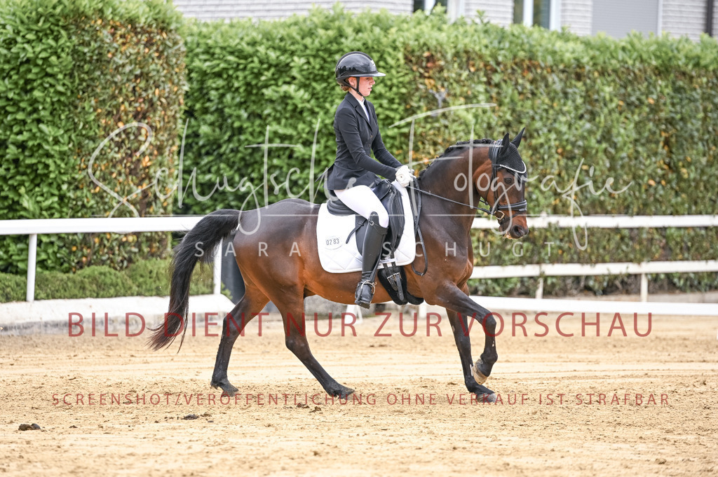 Schugtsche-Aluta25-42.EDressur -287 | Schugtsche Fotografie - Realisiert mit Pictrs.com