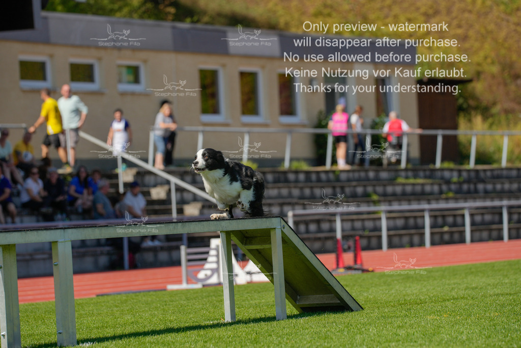 Sonntag_VK Hindernis (376 von 671) | stephaniefillaphotographie - Realisiert mit Pictrs.com