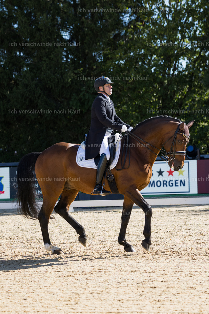FHC2026_P07_168_17579 | working equitationturnier fotograf videograf stoibphotography marixx film working equitation deutschland reitsport turnierfotografie eventfotografie equestrian events
