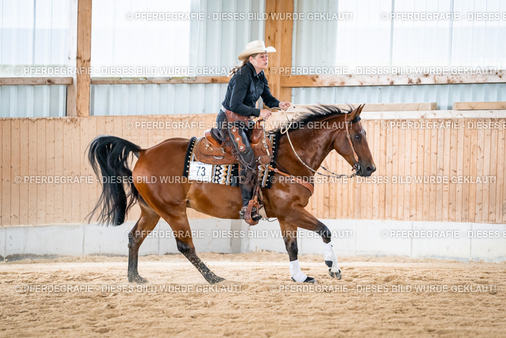 DSC03682 | Pferdegrafie