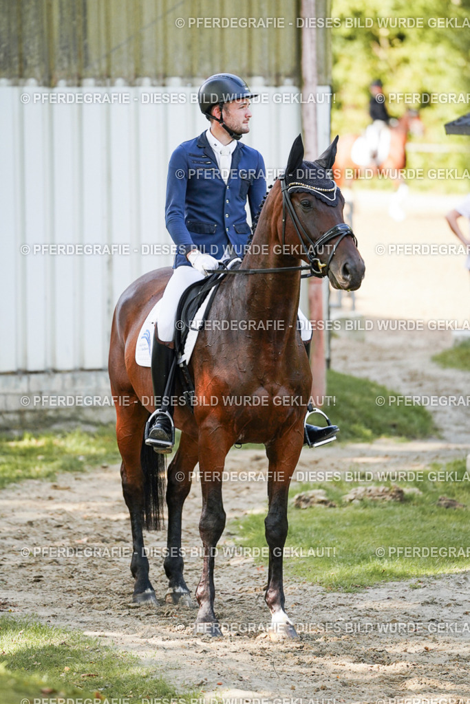 DSC08818 | Pferdegrafie