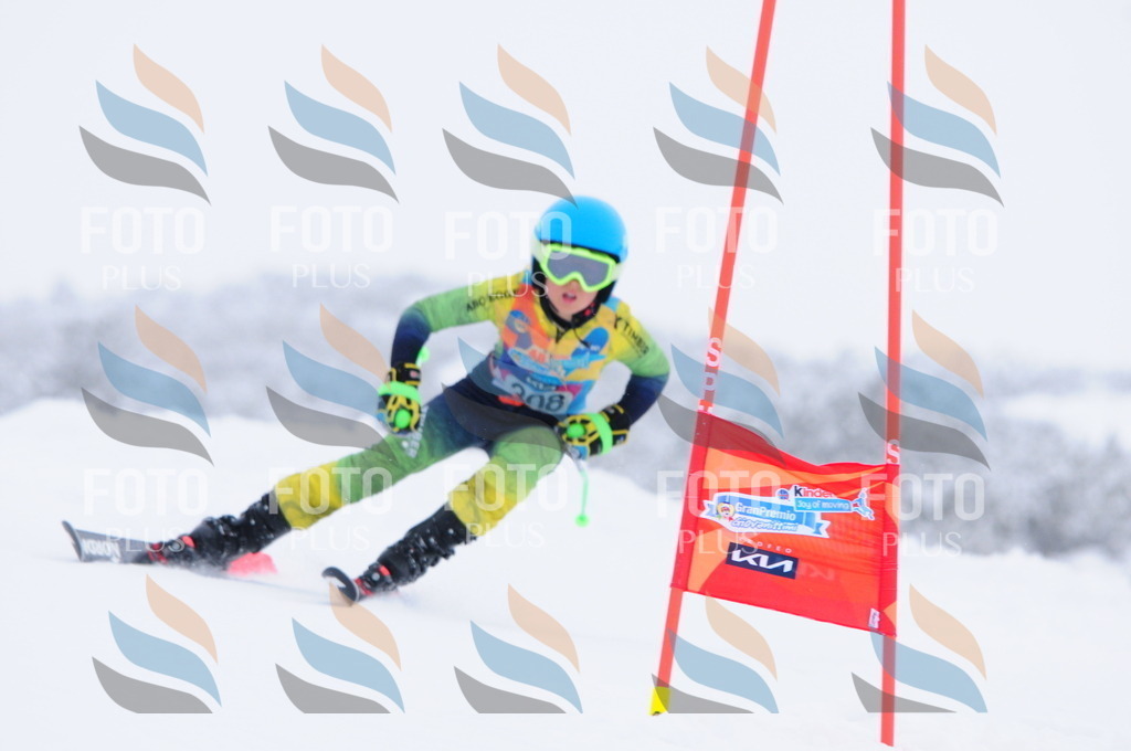 C3254 | holidayphoto