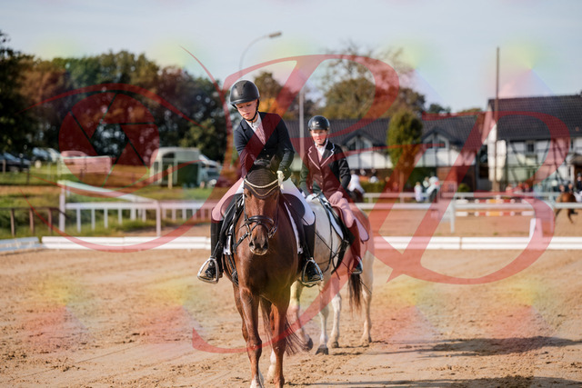 2026_10_03_Siefer-Hof_115212_Z63_29875243 | Professionelle Reitsport-, Turnier- und Eventfotografie von Robert Broda. Galerien mit ausgewählten und bearbeiteten Bildern direkt online ansehen und bestellen.