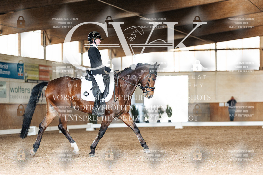 CK901967 | Turnierfotografie Pferdefotografie Trier Rheinland-Pfalz Pferdesport Reitsport Tierfotografie Sportfotografie Pferdevideo Pferdevideografie Equestrianvideography equestrianphotography  - Realisiert mit Pictrs.com