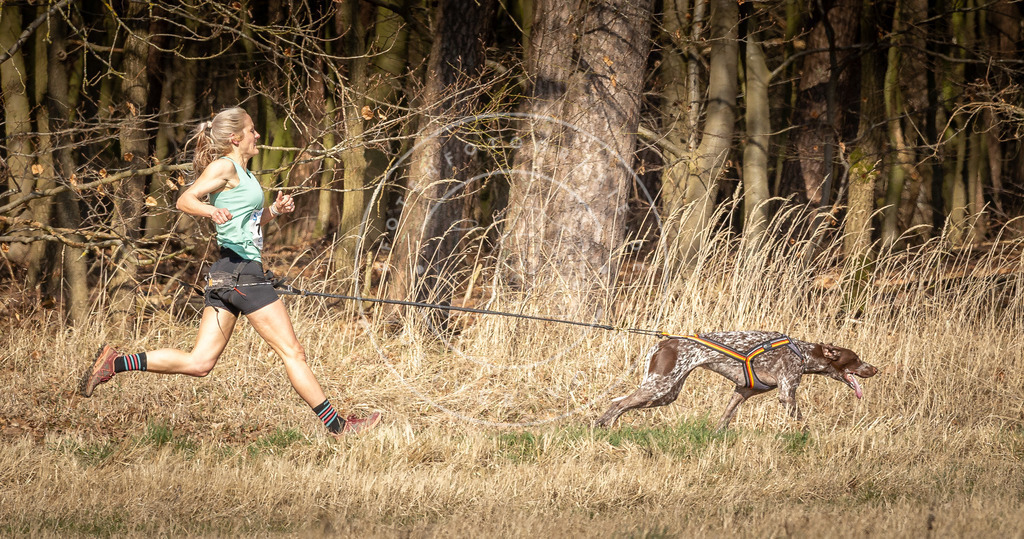 DV3A5681 | Hundefotografie, Tierfotograf, Pfotenfotografie, Fotoshooting Hund, Hunde Portrait, Hundesport, Hundeportraits, Heideshooting, Hunde, Sportfotograf, Hundefotograf, Turnierhundsport, THS,  - Realisiert mit Pictrs.com