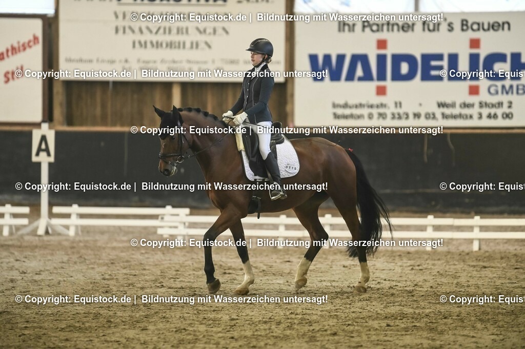 20231029_04_Dressur-WB_0277 | Foto: Thomas Hartig