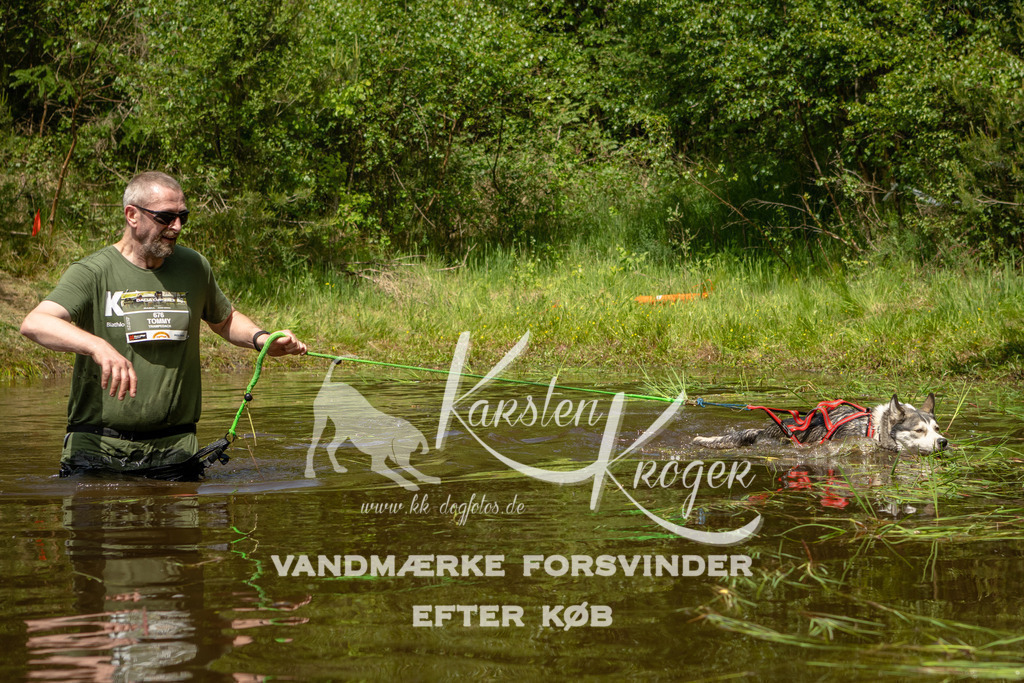 1245DKK993486 | kk-dogfotos