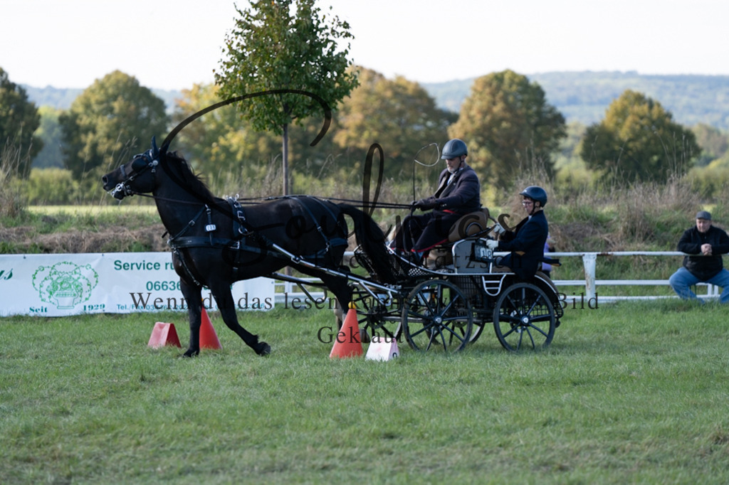 A7V04481 | Pferdefotograf