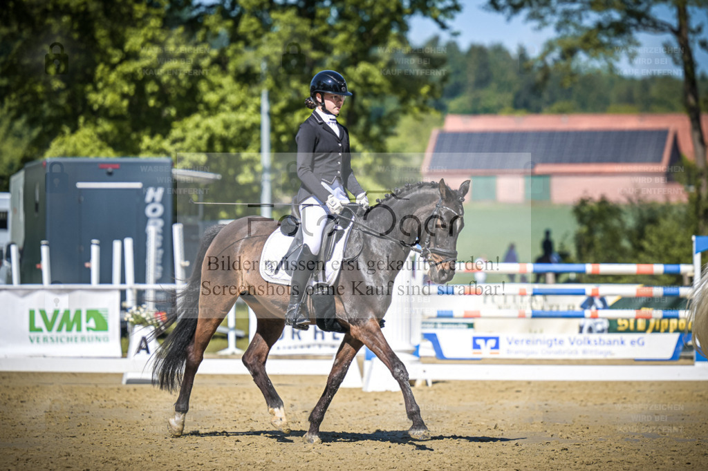 DOS_4853 | Entdecke hochwertige Reitturnierfotos von Foto Oger. Professionell, emotional und authentisch – jetzt Lieblingsmomente im Shop bestellen. - Realisiert mit Pictrs.com