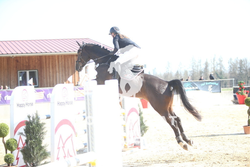 AS8V6110 | Willkommen bei Brunnmayr - Design & Fotografie – Ihrem Spezialisten für Reitturniere und Pferdeveranstaltungen in Oberösterreich, Salzburg und Bayern! Seit über 17 Jahren sind wir leidenschaftlich dabei.