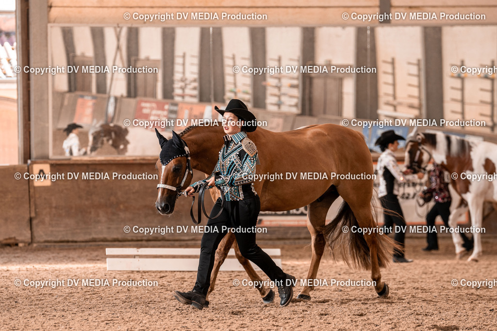 LM Heiligenwald Tag 1-343 | dv-media-shop - Realisiert mit Pictrs.com