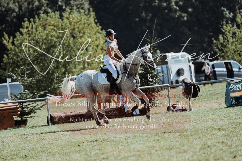 DSC_6873 | Pferde- und Turnierfotografie in Westsachsen. Pferdeportraits, Auftragszeichnungen und intuitive Kunst.