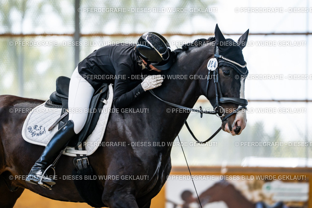 DSC06005 | Pferdegrafie